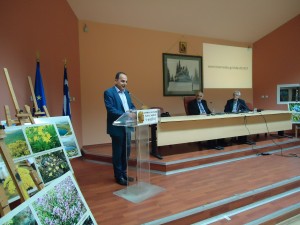alp_per19_14_4
