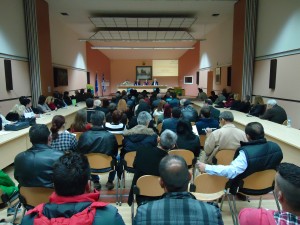 alp_20_15_5