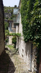 Εικόνα20015