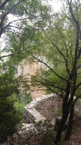 Εικόνα20032