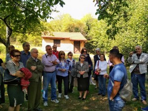 IMG_20181007_121522